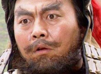 严颜能力出色，他在投降刘备后为何会销声匿迹？