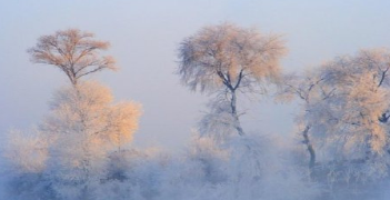 纳兰性德代表作之一：赏析《临江仙·寒柳》