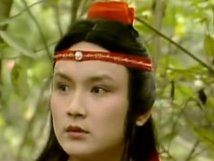 红楼梦中鸳鸯有中意的人吗？是贾宝玉？