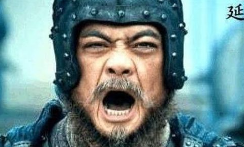刘备夷陵大败后，为何曹魏不乘胜追击呢？