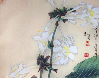 历朝历代有哪些描写玉簪花的诗作？诗人是如何描写玉簪花的？