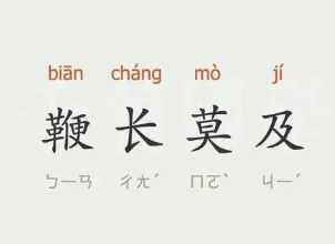 成语“鞭长莫及”是什么意思？背后有什么典故？