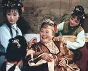 红楼梦中林如海去世后，在林家呆了三个月的贾琏都在干什么？