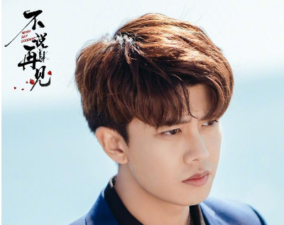 《不说再见》什么时候播出？任嘉伦、张钧甯主演