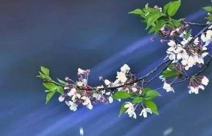 《水仙子·次韵》这首散曲的原意是什么？它的作者是谁？