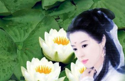《小桃红·采莲湖上棹船回》的写作背景是什么？该怎样去理解呢？