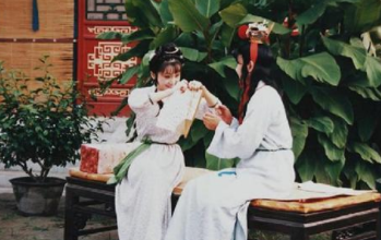 红楼梦中贾宝玉的历史原形是谁？和曹雪芹有什么关系？