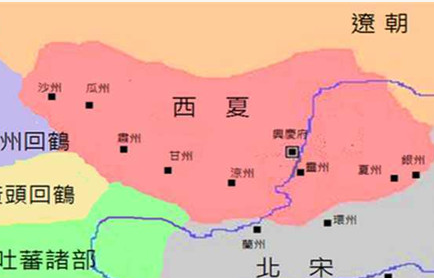 和金，辽，宋相比较而言，西夏存在的寿命为何如此之高？