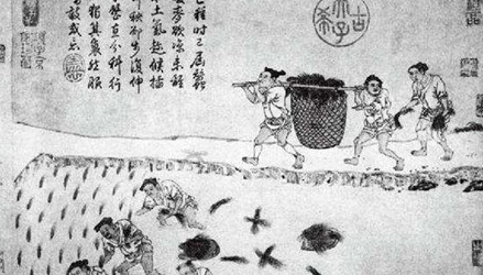 北魏至唐朝的均田制是什么制度？竟是按人口分配土地