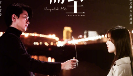 《不期而至》主要剧情简介，彭冠英蔡文静再次合作！