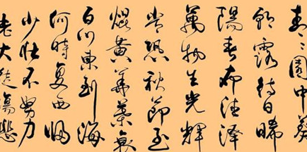 乐府诗民歌继承了诗经的现实主义，对后世文学有何影响？
