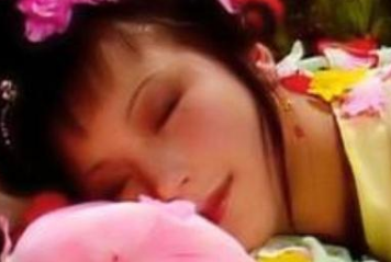 红楼梦众多的女子之中，被称为红楼之最的是哪些人？