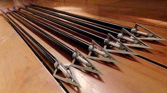 古人打仗前，为何要把箭放在粪池里？