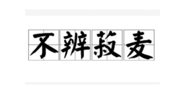  历史文化探索：不辨菽麦的典故及故事介绍