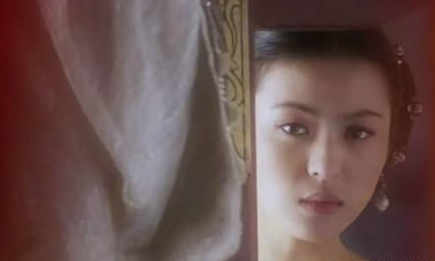 古代一女不侍二夫 宣华夫人为什么会嫁给了杨坚父子
