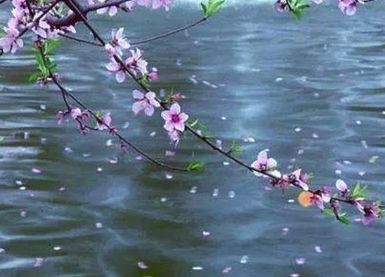 《河上逢落花》唐代万楚所作，蕴含内心的相思之情
