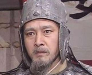 三国时期蜀汉一共发动了多少次北伐？有何目的？