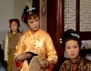 红楼梦中赵姨娘大闹议事厅是为了什么？有何缘由