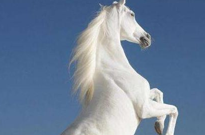 盘点三国时期的5匹宝马，你知道几个呢？