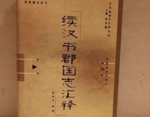 《续汉书》记载了哪些内容？有着怎样的特点？