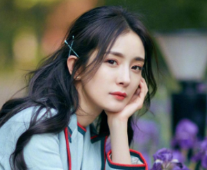 《娇藏》女主演是谁？杨幂遭粉丝留言表担忧
