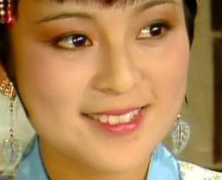 红楼梦中宝玉挨打与赵姨娘成为妾室有何联系？