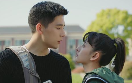 《陪你逐风飞翔》讲了什么故事？有哪些伏笔？