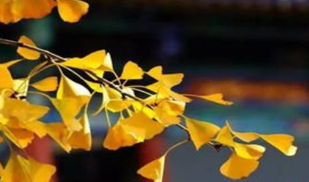 《满庭芳·山抹微云》的写作背景是什么？该怎样去理解呢？