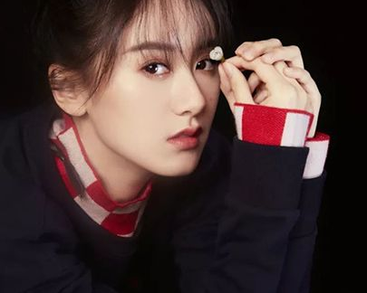 《少年盾》是一部什么题材的电视剧 该剧讲述了什么故事