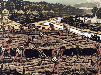 古代遇到粮食危机时，是如何节约粮食的？