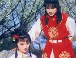 红楼梦中，林黛玉进入贾府后的生活是什么样的？