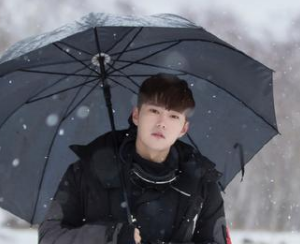 《云顶天宫》演员阵容怎么样？这版张起灵选角太不贴脸