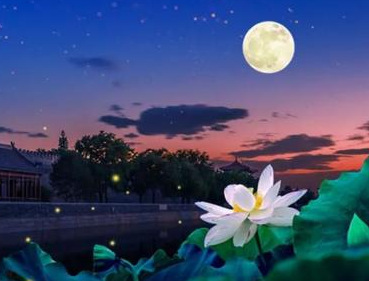 历史上有哪些描写夏季月光的诗作？诗人眼中的月光有多皎洁？