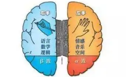 左撇子形成的原因有哪些呢?不止是习惯问题