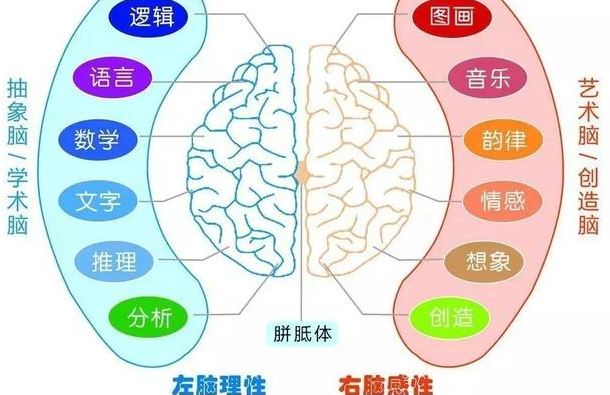 为什么8月13日是国际左撇子日?有什么历史故事？