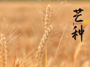 《芒种》南宋韩淲所作，描绘了一幅乡村田园风景图