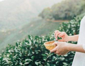 历史上有哪些关于夏季饮茶的诗作？诗人描写了怎样的场景？