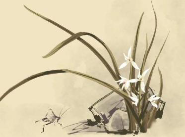 兰花蕴含着什么特殊含义？为什么那么多人赞颂兰花？