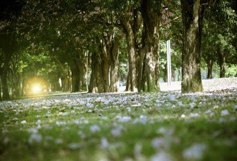 高适与李白曾是把酒言欢的挚友，最后为何分道扬镳？