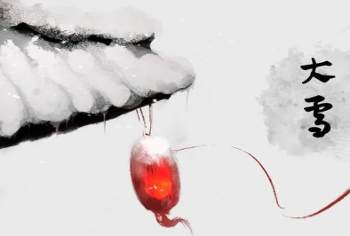 苏轼所作的《江神子·大雪》，借雪与梅表达自己内心的高洁