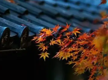 李益所作的《立秋前一日览镜》，表达诗人一言难尽的的遭遇和前途