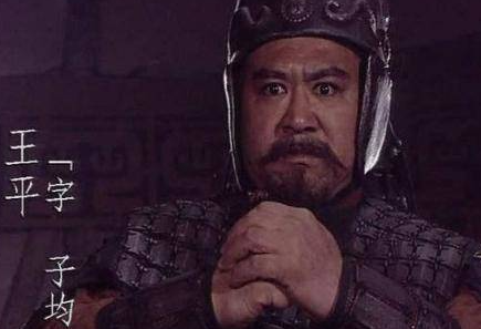 魏延去世后，蜀汉除姜维外还有哪些大将呢?