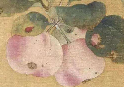 苹果在古代叫什么名字？名字十分唯美