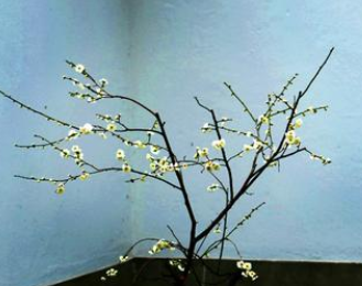 王安石《梅花》是在什么情况下创作的？该如何赏析？