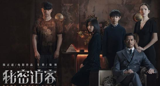 电影《秘密访客》是根据小说改编的吗？主要剧情介绍
