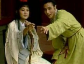 红楼梦中的 贾芸是什么身份？最后事业爱情双丰收