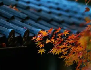 唐代诗人韦应物《新秋夜寄诸弟》原文、注释译文及赏析