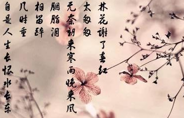 李煜词作：《相见欢•林花谢了春红》赏析