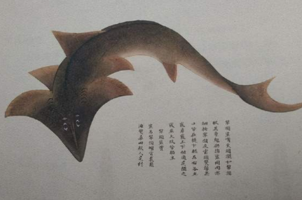 探索我国海鲜食品发展史，古代有哪些海鲜食品？