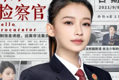 《你好检察官》是什么题材？主演有哪些人？